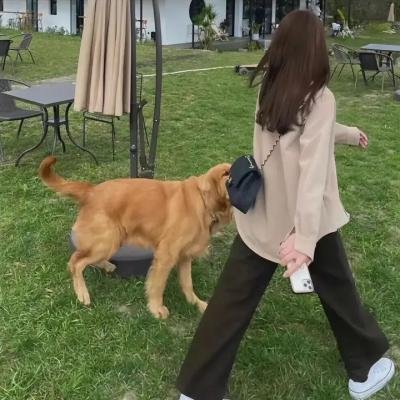 怪物家庭2